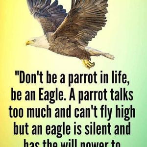 Meet your Posher, Pat